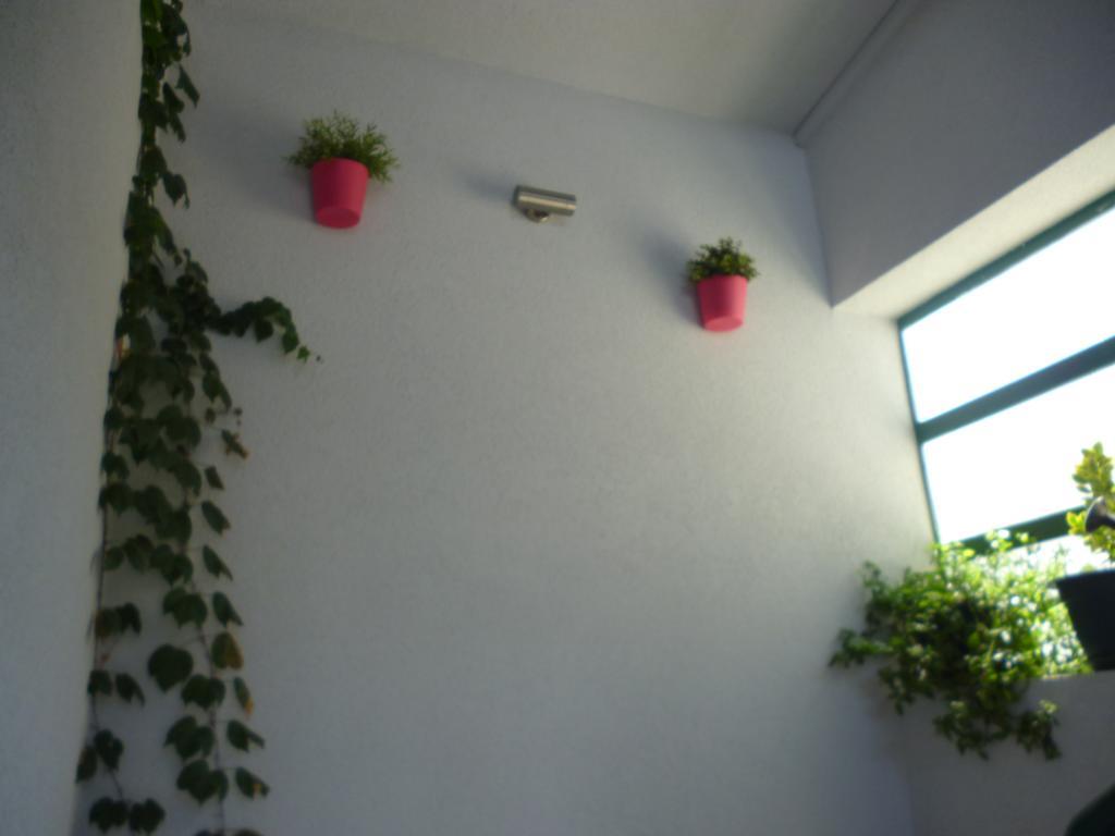 Apartment Duje Makarska Ngoại thất bức ảnh